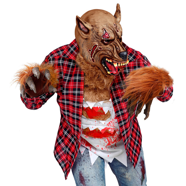 Rękawiczki Wolf brązowe
