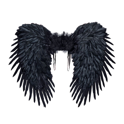 Black Wings 80m
