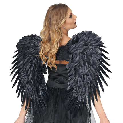Black Wings 80m