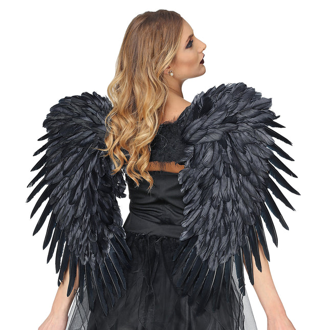 Black Wings 80m