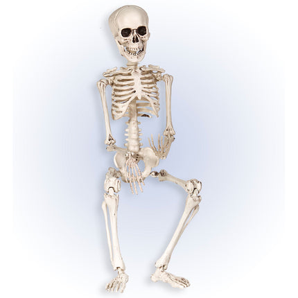 Szkielet na Halloween biały 50 cm