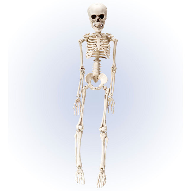Szkielet na Halloween biały 50 cm
