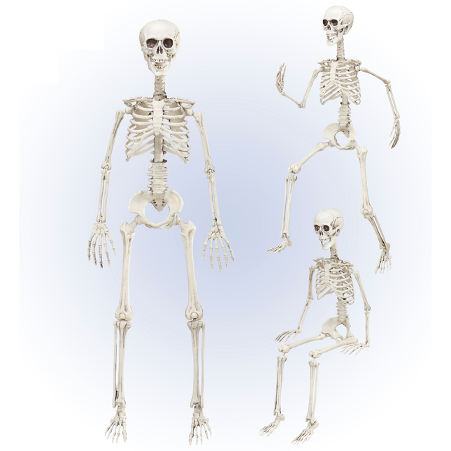 Ruchomy szkielet na Halloween 90 cm
