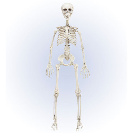 Ruchomy szkielet na Halloween 90 cm