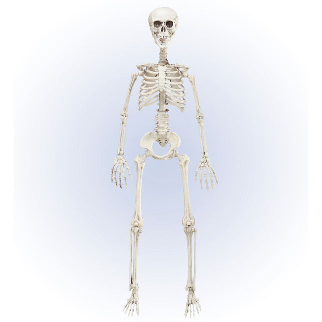 Ruchomy szkielet na Halloween 90 cm
