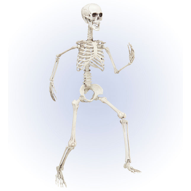 Ruchomy szkielet na Halloween 90 cm