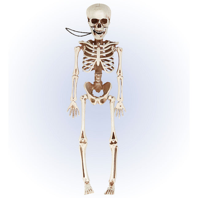 Ruchomy szkielet na Halloween 40 cm