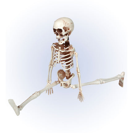 Ruchomy szkielet na Halloween 40 cm