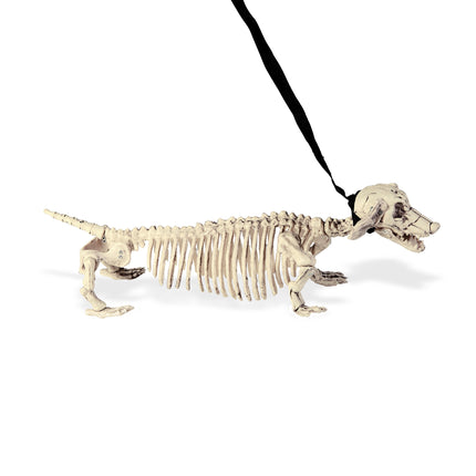 Halloweenowy szkielet Tekkel z paskiem