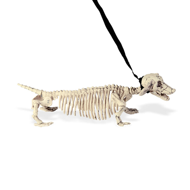 Halloweenowy szkielet Tekkel z paskiem