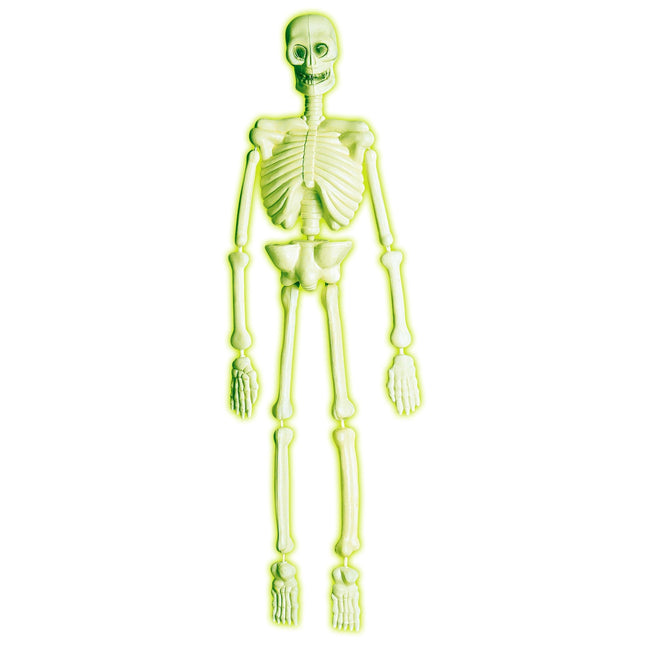Halloweenowe Laboratorium Szkieletów 90 cm