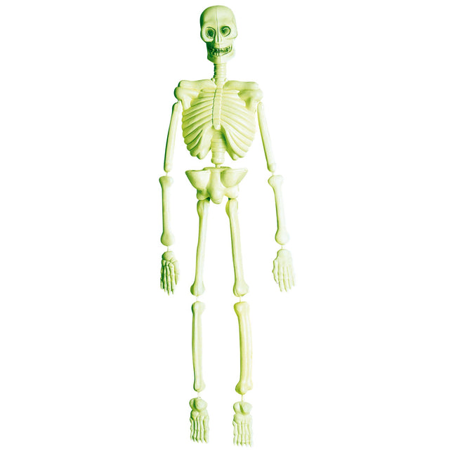 Halloweenowe Laboratorium Szkieletów 90 cm