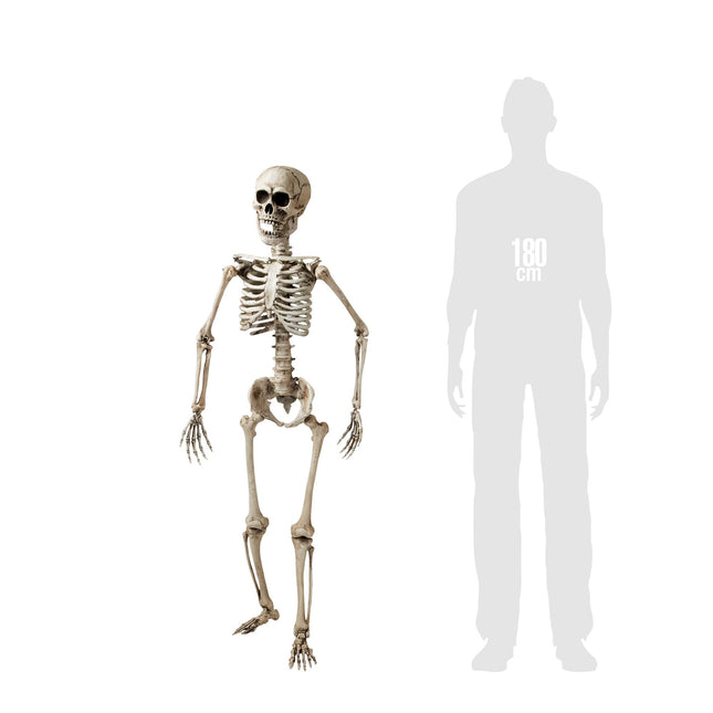 Szkielet na Halloween biały 1,6 m