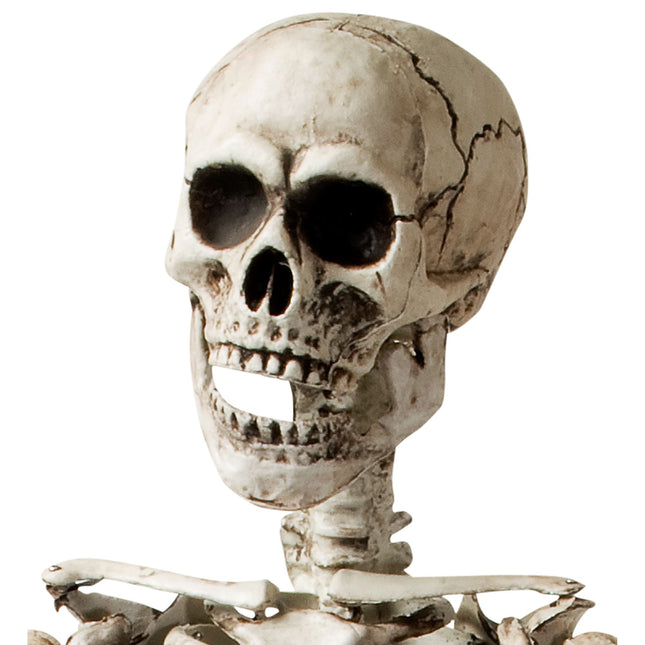 Szkielet na Halloween biały 1,6 m