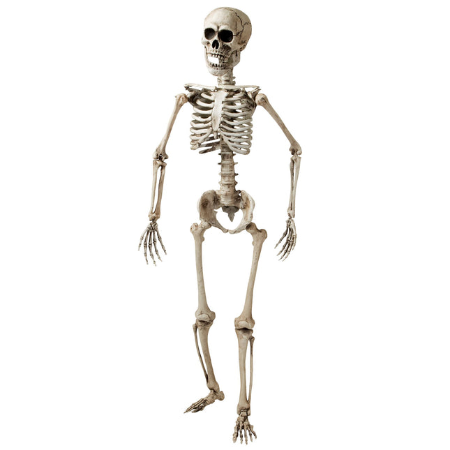 Szkielet na Halloween biały 1,6 m