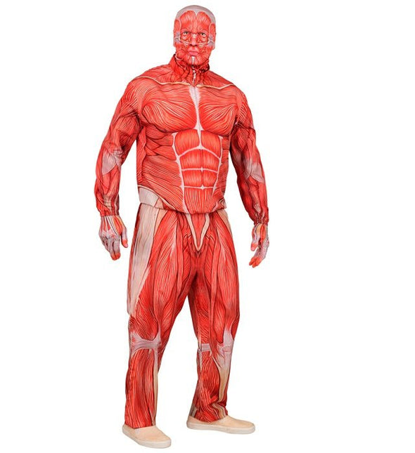ANATOMIE KOSTUUM van Widmann koop je bij Partywinkel