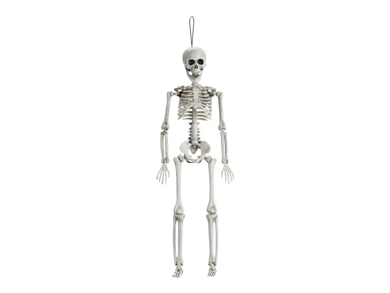 Szkielet na Halloween biały 40 cm