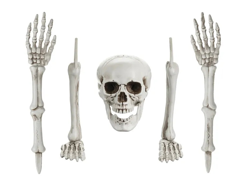 Halloweenowy szkielet 5 szt