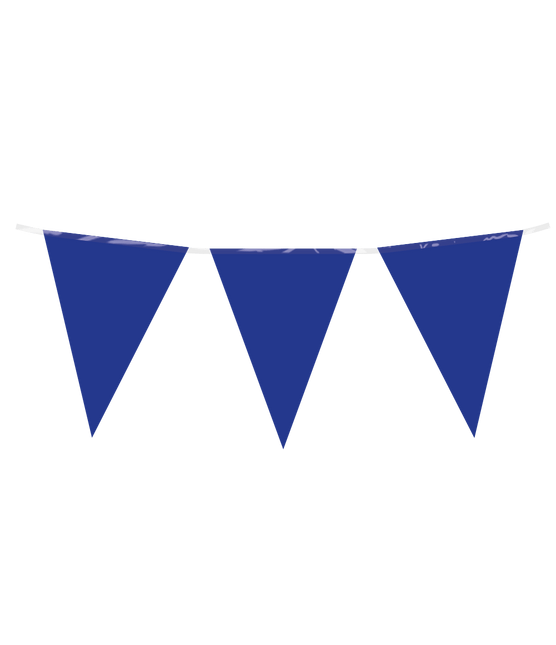 Blauwe Slinger 10m - Partywinkel - 8716764235801