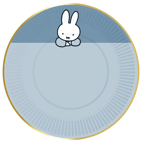 Talerze Miffy niebieskie 18cm 8szt.