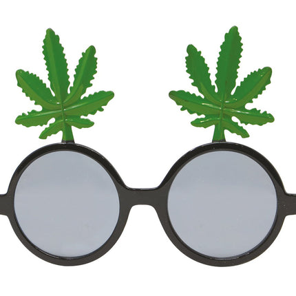 Bril Wiet van Fiestas Guirca koop je bij Partywinkel