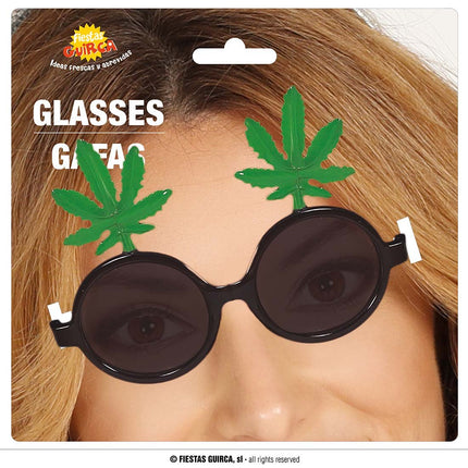 Bril Wiet van Fiestas Guirca koop je bij Partywinkel