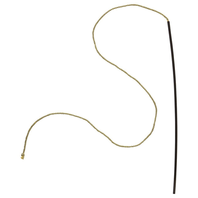 Circus Temmer Zweep van Widmann koop je bij Partywinkel