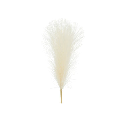 Suche kwiaty Pampas 45 cm