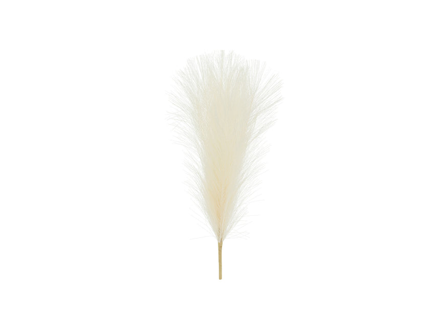 Suche kwiaty Pampas 45 cm