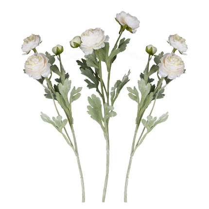 Suche kwiaty Rancula Łodygi 45cm 3szt