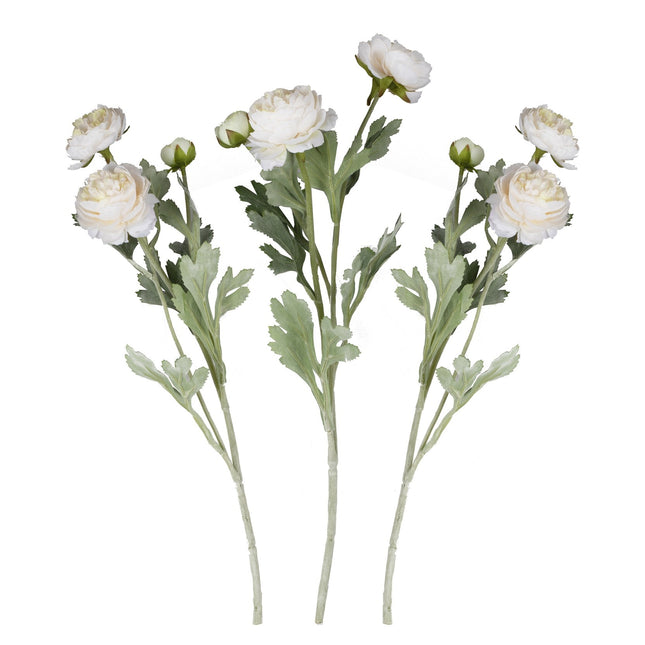 Suche kwiaty Rancula Łodygi 45cm 3szt