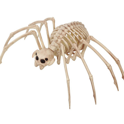 Halloweenowy szkielet tarantuli 35x20cm