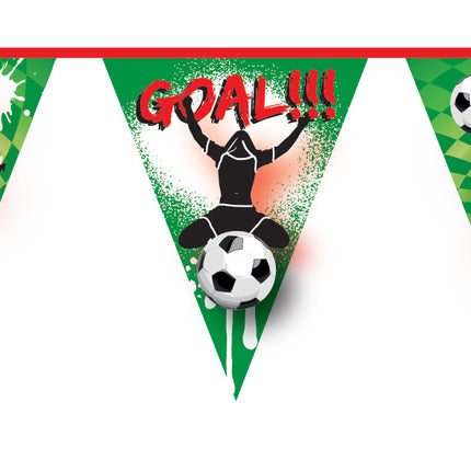 Flagline Goal 10m