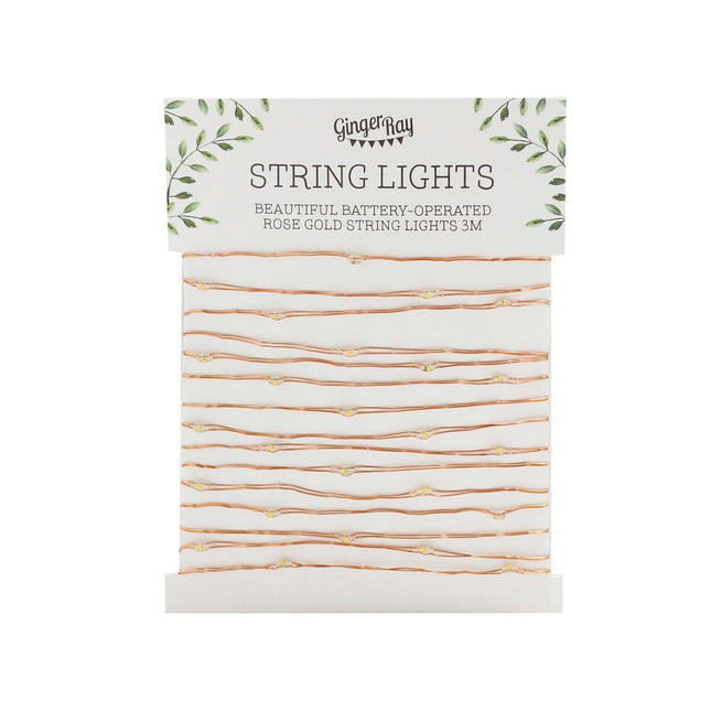 Girlanda świetlna LED Rose Gold Led Lights 3m