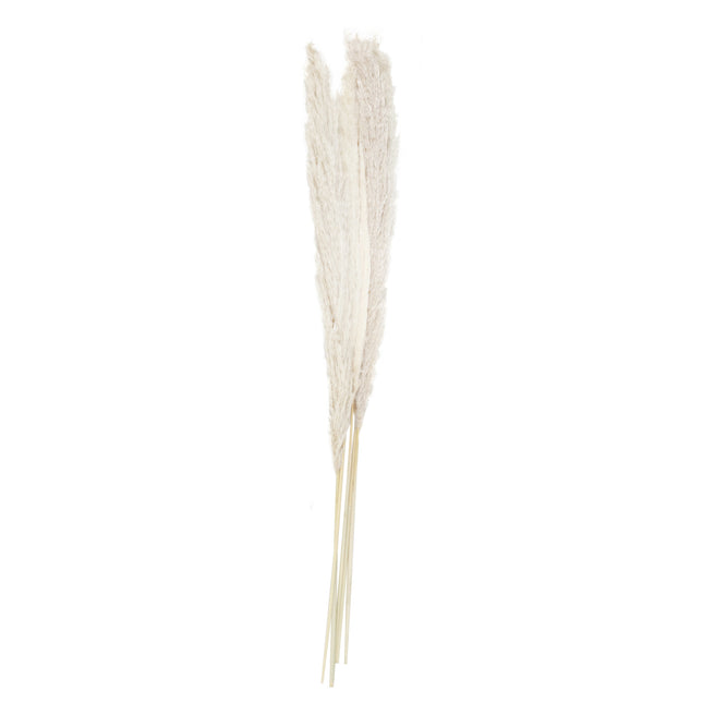 Suche kwiaty 90cm 5szt