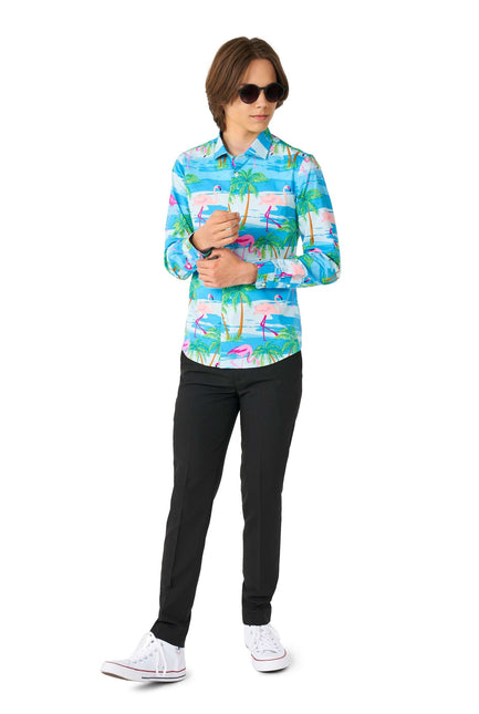 Hawaii Flamingo Teen Shirt Boy Teen <tc>OppoSuits</tc>
