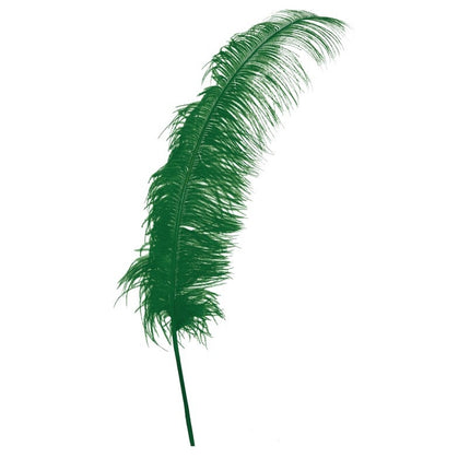 Zielone strusie pióra 50cm 12szt