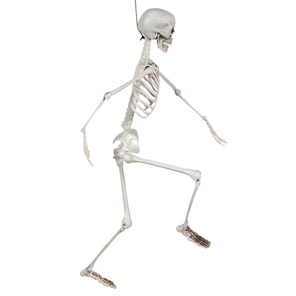 Szkielet na Halloween biały 90 cm