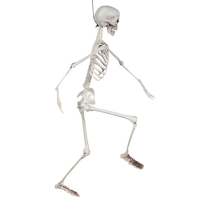 Szkielet na Halloween biały 90 cm