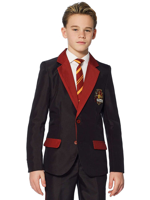 Harry Potter Garnitur Chłopiec Gryffindor