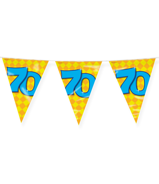 Flagline 70 Years Coloured 10m