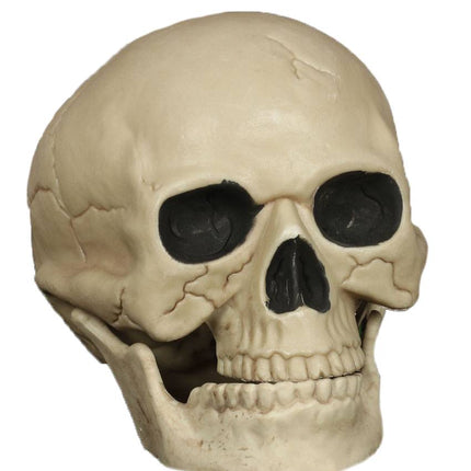 Halloweenowa czaszka 20 cm