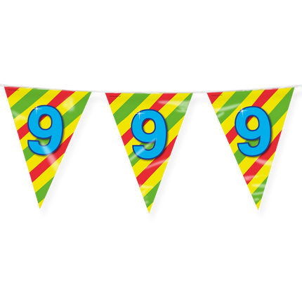 Flagline 9 Years Coloured 10m