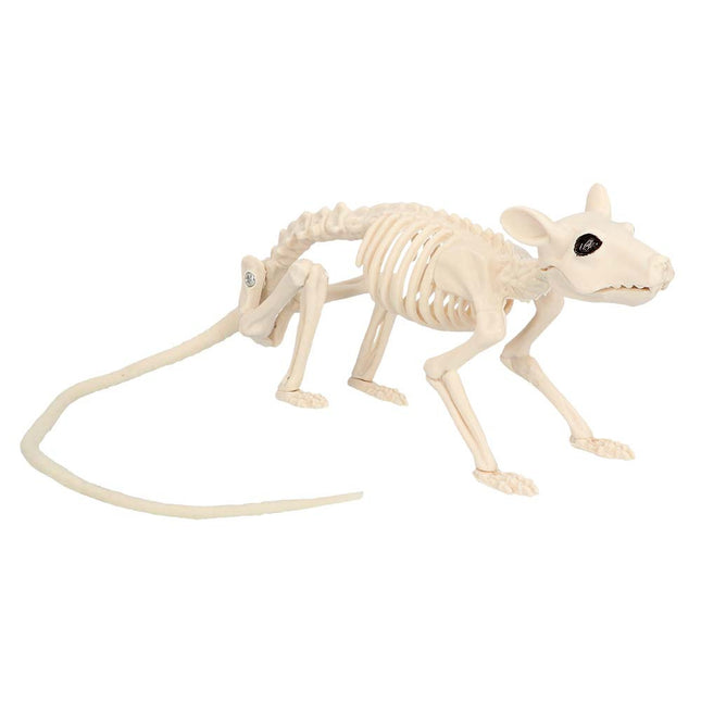 Halloweenowy szkielet szczura 46 cm