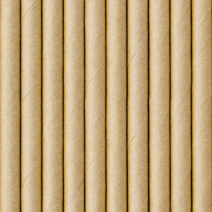 Słomki papierowe kartonowe 19,5cm 10szt