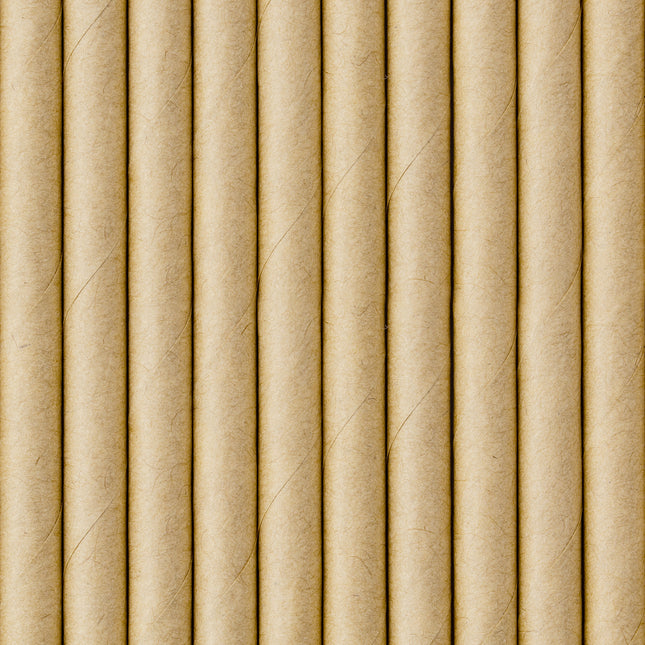 Słomki papierowe kartonowe 19,5cm 10szt