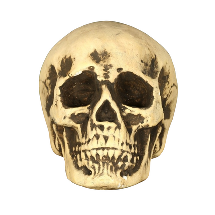 Halloweenowa czaszka 22 cm