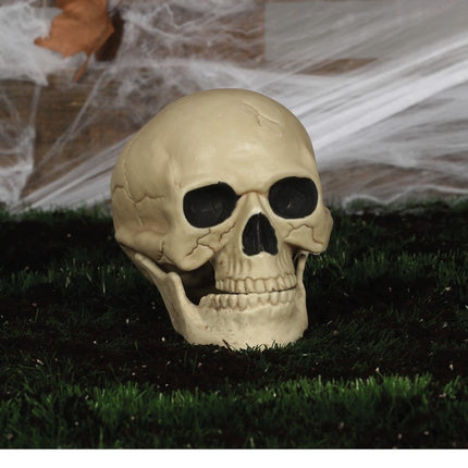 Halloweenowa czaszka 20 cm