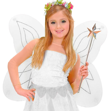 Motyl z białymi skrzydłami
