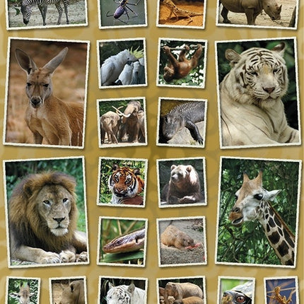 Naklejki Wild Life